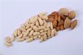 Blanched almond
